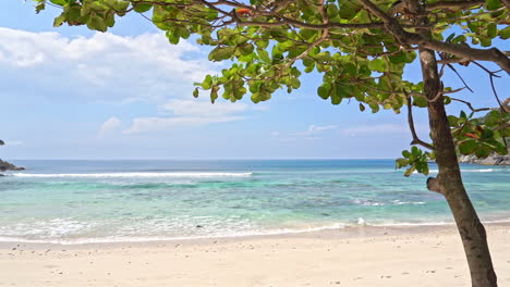 empty white sand beach and emerald tranquil sea water tides in tropical laguna, cloudy sky, exotic tree branches in the foreground, vacation template, copy space minimalistic