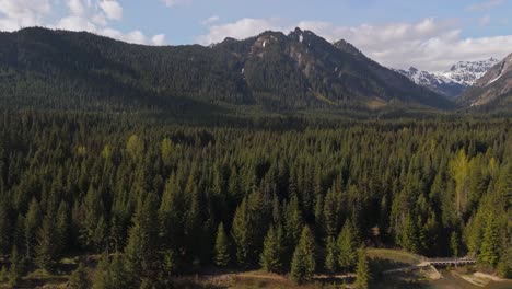 Beautiful-aerial-view-of-Evergreen-Forest-and-mountains-in-the-background-at-Gold-Creek-Pond-in-Washington-State