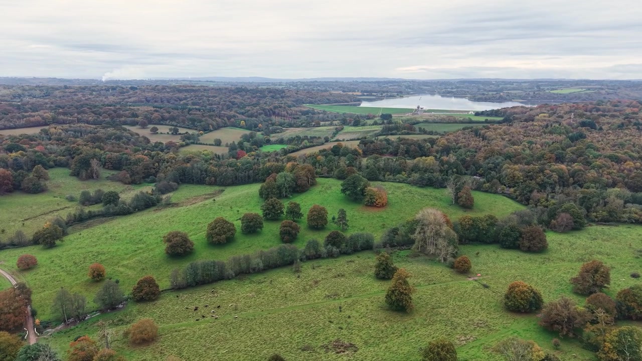 Serene bossen in herfstkleuren van het Engelse platteland en het Bewl Water meer, Kent, VK, luchtfoto
