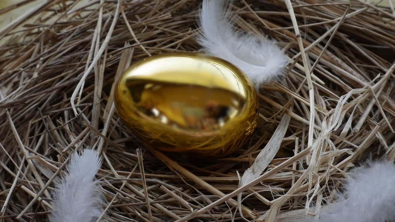 золотое гусиное яйцо во вращении птичьего гнезда