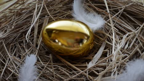 huevo de ganso dorado en rotación de nido de pájaro