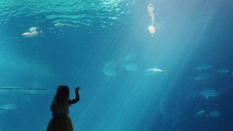 little girl in aquarium looking at stingray swimming in tank curious child watching marine animals in oceanarium having fun learning about sea life in aquatic habitat