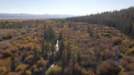 Flying-low-over-beaver-ponds-with-the-sun