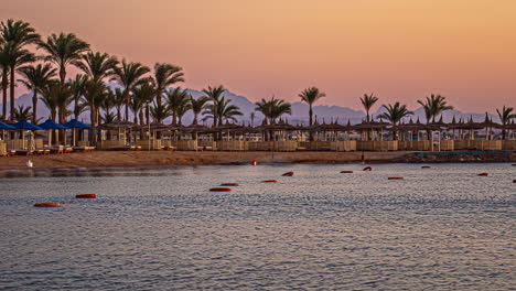 Day-to-dawn-timelapse-in-a-bay-with-palm-trees-and-mountains,-Hurghada,-Egypt