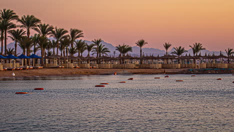 timelapse del día al amanecer en una bahía con palmeras y montañas, hurghada, egipto