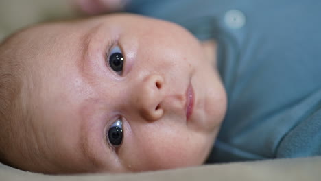 sweet grey-eyed baby looks surprised. toddler lies with his head to the right, stares into camera and shows his tongue. close up.