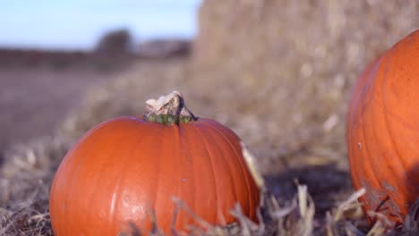 niños jugando en fardos de heno y pilas en una granja de calabazas en un brillante y soleado día de otoño en inglaterra, reino unido