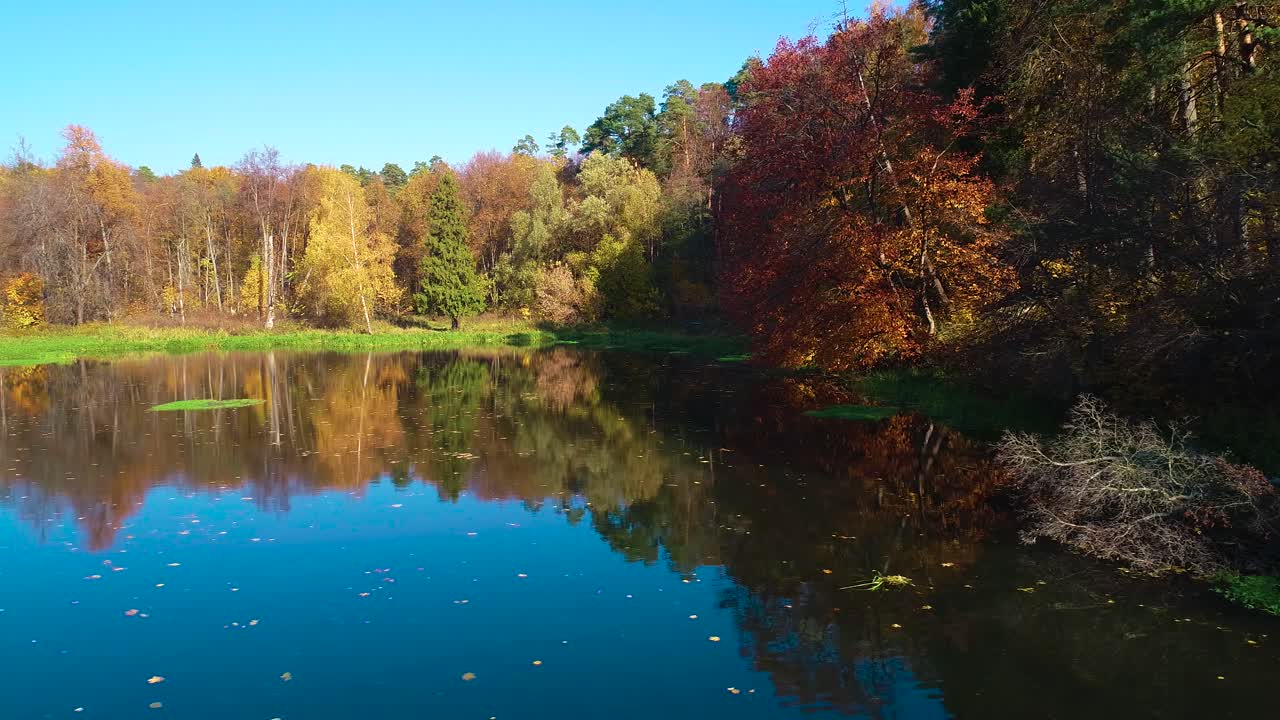 호수 에 있는 다채로운 가을 의 숲 나무