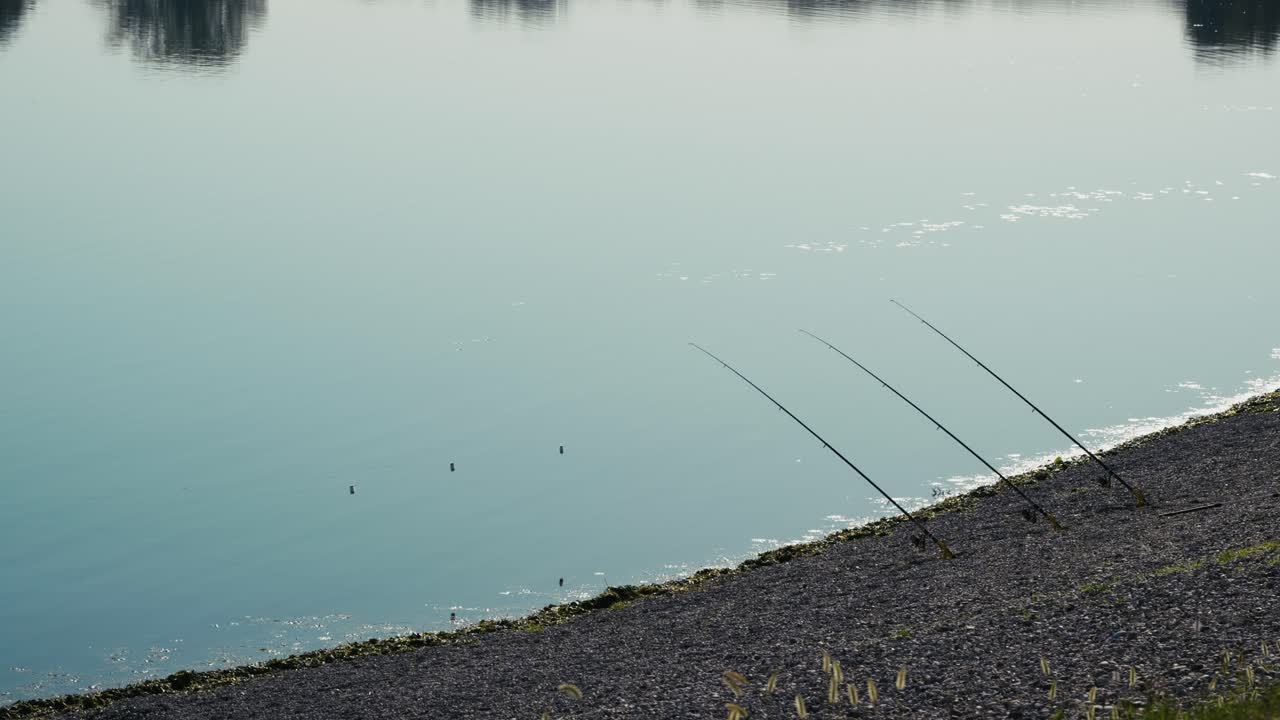Three fishing rods rest along a sloping pebble shore, their lines extending into the still blue water of a tranquil lake under soft morning light