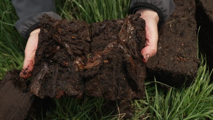 Primo piano delle mani di una persona che separa una zolla di torba umida per rivelarne la consistenza fibrosa, ideale per contenuti su energia, agricoltura o ambiente.
