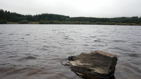 Bosque-Bosque-Lago-Orilla-Guijarro-Piedra-Escénico-Campo-Paisaje-Derecho-Muñequita