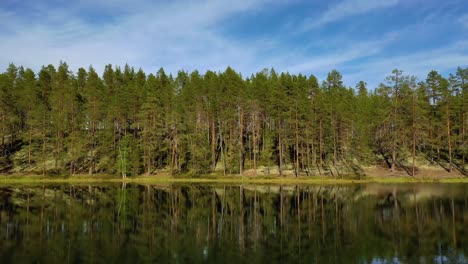 aerial view of the lake and forest in finland. beautiful nature of finland.