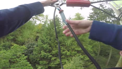 zipwire through forest