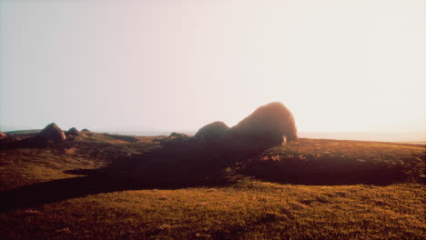 sunrise over rocky hills