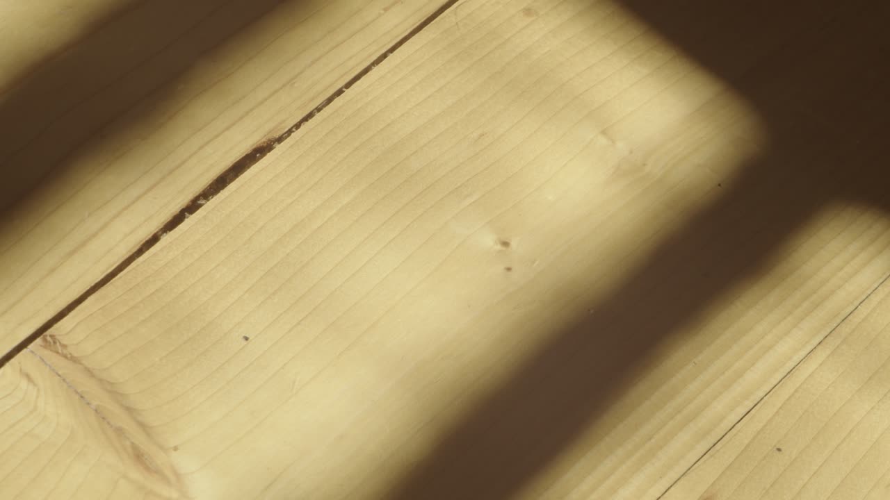 Smooth close-up of bright wood grain with soft natural light. Perfect for product backgrounds, design mockups, or warm visual moods