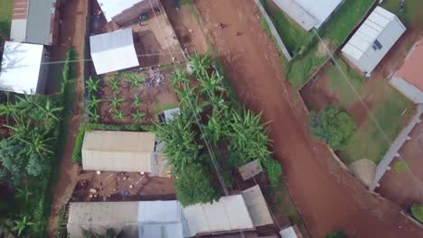 low-altitude aerial shot directly above homes and banana trees in kapchorwa town, eastern uganda, capturing rural settlement layout and tropical vegetation from a top-down drone perspective