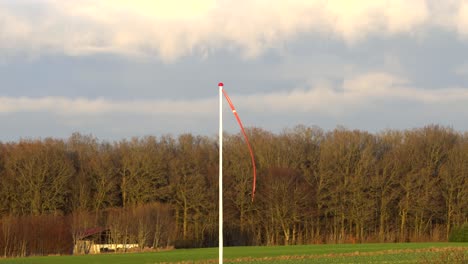 video of a danish pennant in the autumn