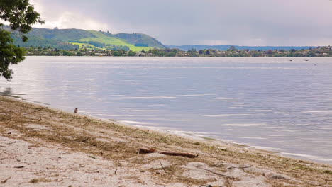 Filmed-in-Rotarua,-New-Zealand