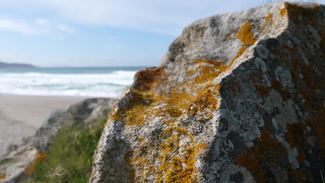 Back view of wonderful blue sea on a beautiful sunny day, deserted beach