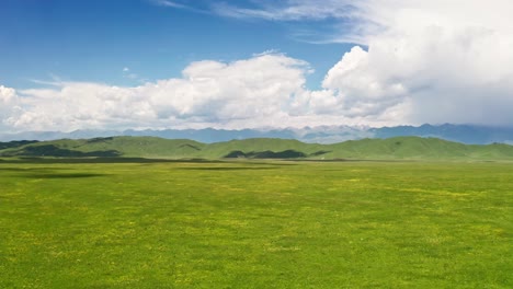 nalati grassland with the blue sky.