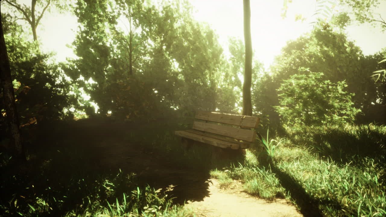 Wooden bench under sunlight in a tranquil green park at midday