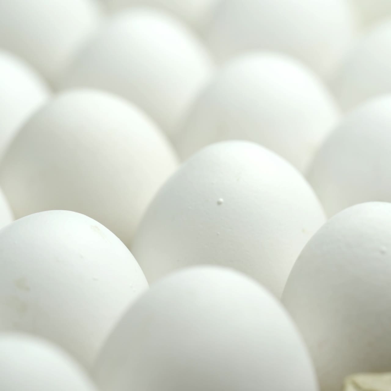 White chicken eggs in a cardboard box. Eggs in a paper tray.