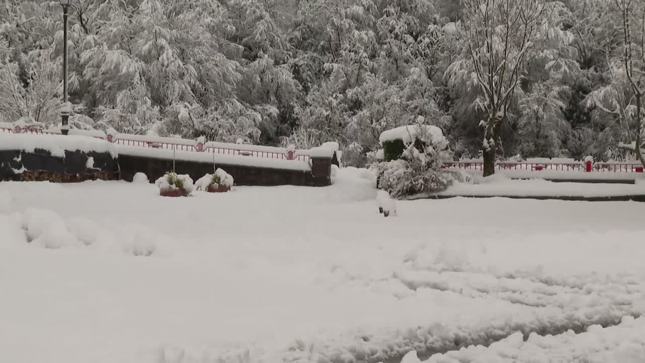 눈 인 겨울 숲 풍경