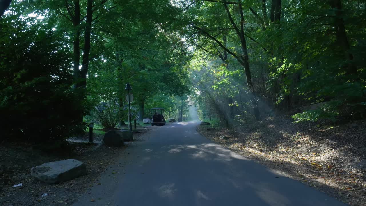 Golf Cart on a Road Surrounded by Trees