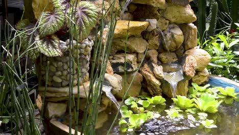 Hermosa-Fuente-De-Agua-Decorada-Con-Plantas-Ornamentales-Y-Acuáticas