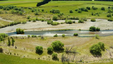 río en verano con árboles y bancos de hierba