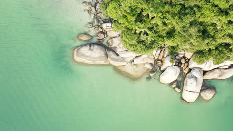 Beautiful-view-from-above-of-a-paradise-turquoise-clear-water-brazilian-beach,-Campeche-Island,-Florianopolis,-Santa-Catarina,-Brazil