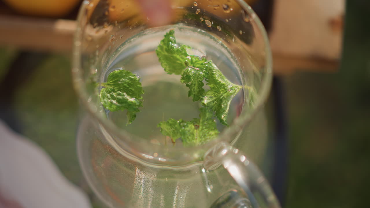 Rinfrescante acqua alla menta. Primo piano di bevanda fredda limone e menta. Foglie di menta fresca in acqua fredda al limone. Brocca vivace di acqua ghiacciata alla menta e limone con effervescenza frizzante e atmosfera estiva