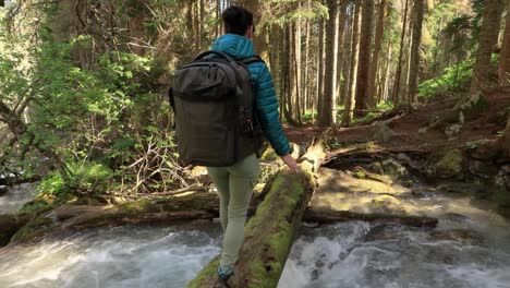 wandernde frau geht mit einem wanderrucksack im frühlingsgrünen wald