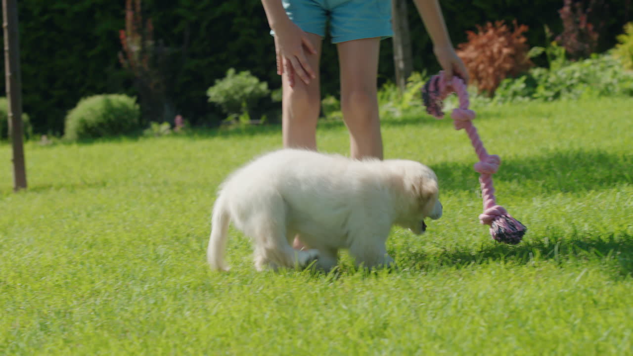 집 뒷마당에서 강아지와 놀고 있는 아이, 강아지가 줄을 고 달리고 있다