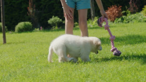 child having fun with a puppy in the backyard of the house, the puppy is running after a rope