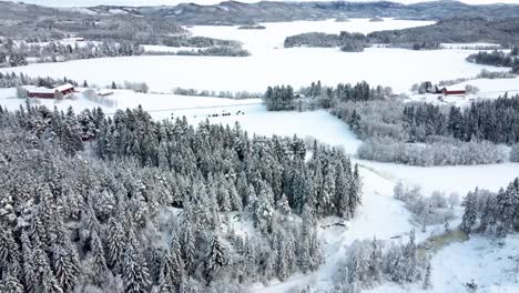 Traverse-the-enchanting-snow-laden-forest,-where-every-tree-branch-is-delicately-adorned-with-a-pristine-layer-of-snow,-creating-a-magical-atmosphere-that-transports-you-to-a-realm-of-tranquility