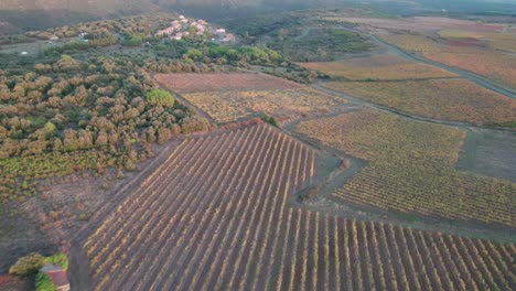 Vista-Aérea-De-Viñedos-Durante-El-Otoño-Con-Pequeños-Pueblos-Al-Fondo-En-Francia.