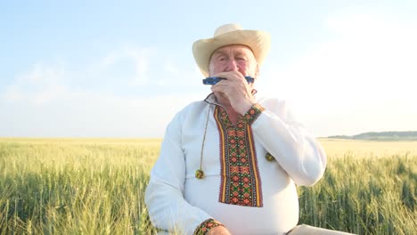 a Lonely Talented Elderly Man in Ukrainian National Clothes Plays the Harmonica a Lonely Talented Elderly Man in Ukrainian National Clothes Plays the Mouth Organ Harmonica Sits in the Middle of the Field Grandfather in an Embroidered Shirt