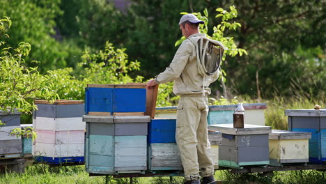 caucasian apiarist in light protective outfit hits by the lid of a hive with his fist. beekeeper closes the hive carefully checking the bees.