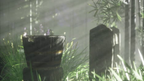 sunlight filters through trees illuminating a wooden bucket in a lush garden