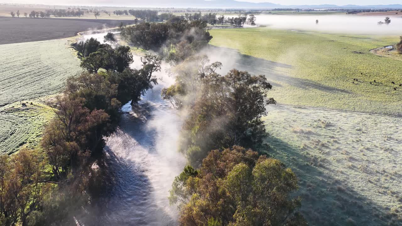 Drone footage glides above a fog-shrouded river winding through frosty meadows and trees at sunrise near Tamworth, Australia, with soft natural lighting