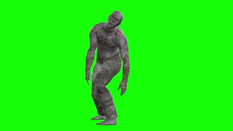 zombie masculino en 3d de pie ocioso en pantalla verde bucle sin costuras animación en 3d, vista delantera