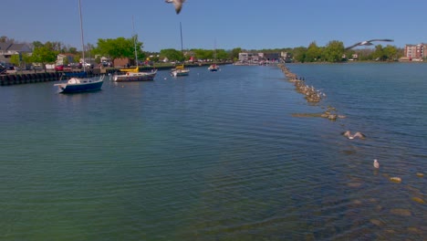 Möwen-Fliegen-Um-Einen-Drohnenschuss-Am-Ufer-Des-Wunderschönen-Canandaigua-Sees-In-Canandaigua,-New-York