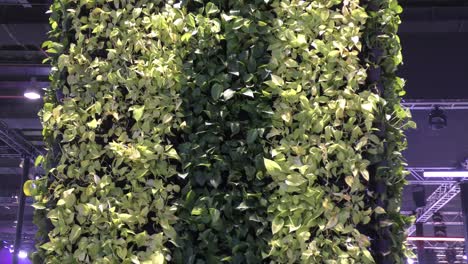 green plant wall from top to bottom with many small pots