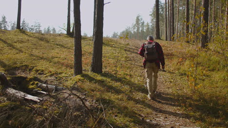 El-Excursionista-Camina-Solo-En-El-Bosque-Por-La-Mañana-Disfrutando-De-La-Naturaleza-Fresca-De-La-Mañana-En-La-Vista-Trasera-De-La-Figura-Humana.