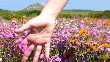 Primer-Plano-De-Niña-Corriendo-Su-Mano-A-Través-De-Las-Flores