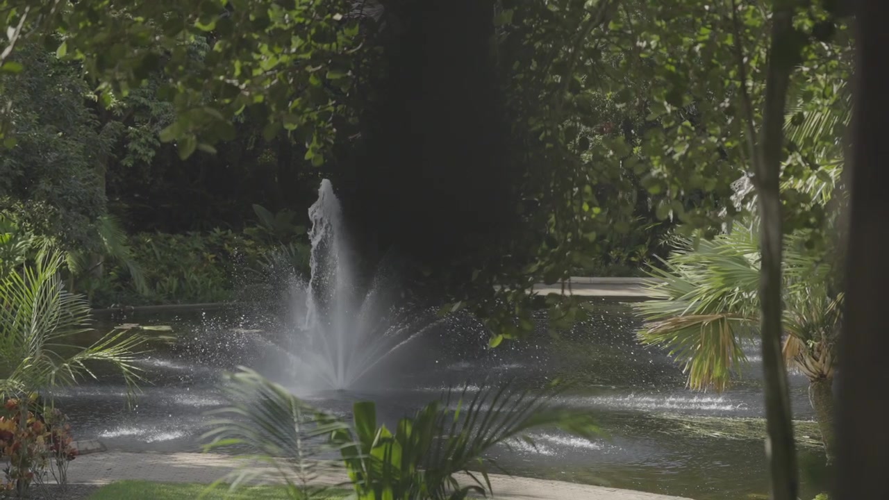 Un getto d'acqua sgorga da una fontana da giardino circondata da palme in un parco di Brisbane