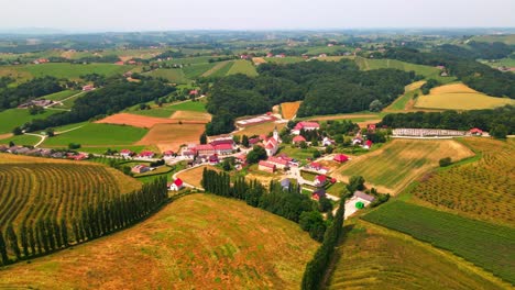Stunning-aerial-4K-drone-footage-of-municipality-of-Miklavž-pri-Ormožu-in-Prlekija-region,-Slovenia