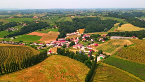 stunning aerial 4k drone footage of municipality of miklavž pri ormožu in prlekija region, slovenia