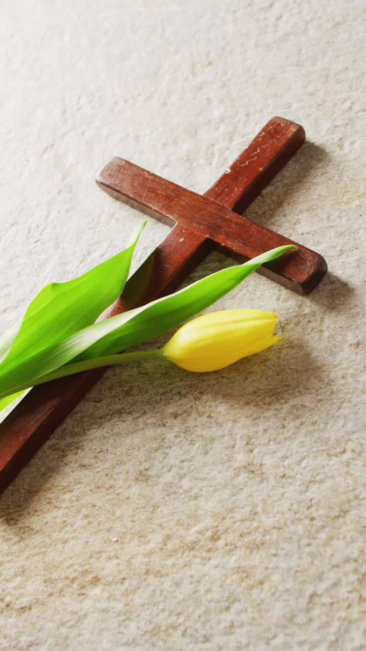 Vertical video of tulip and cross on white background with copy space